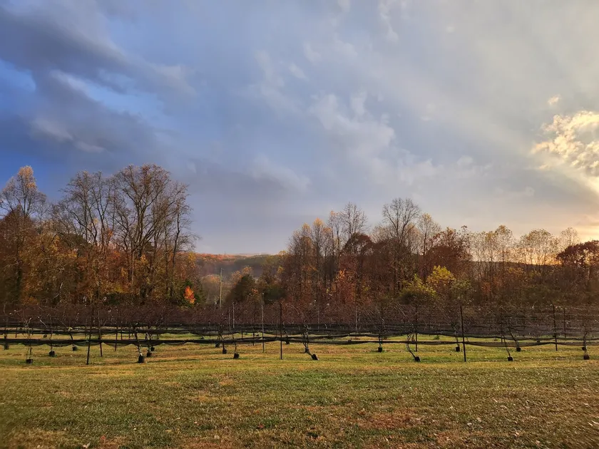 Farmhouse on the Vineyard - Image 1