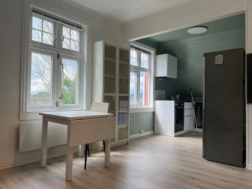 Bright and pleasant newly renovated apartment in Skien city center - Image 1