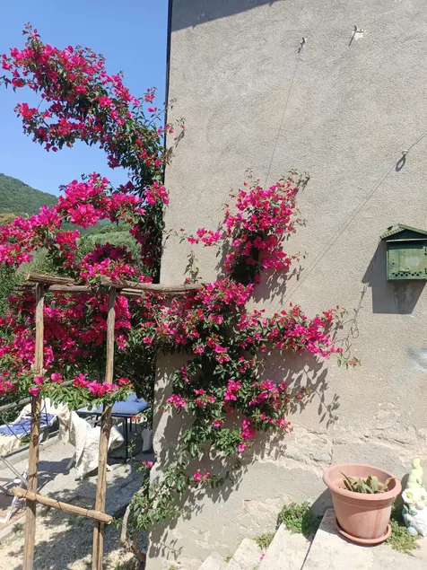 Vacation home with garden - Image 1
