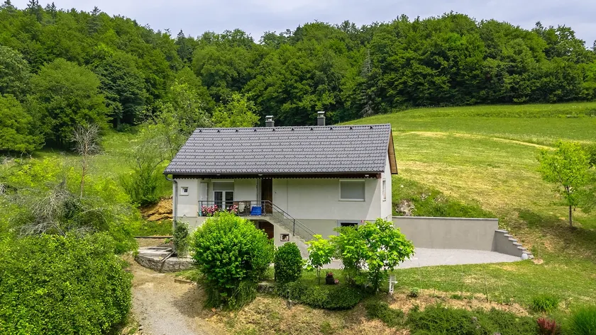 House in Šentrupert, country house - Image 1