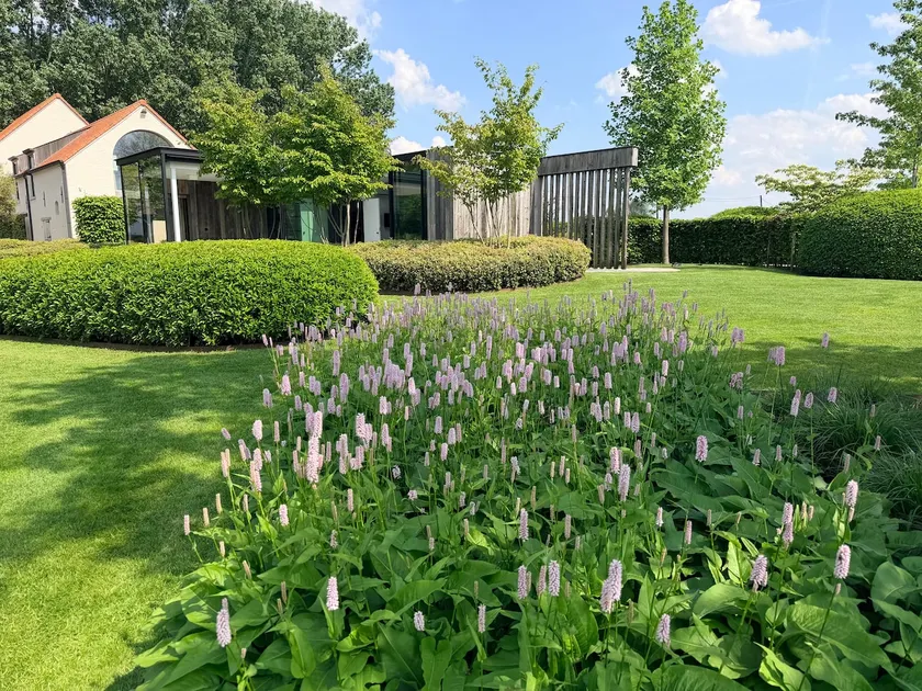 Outbuilding in a green oasis of peace. - Image 1