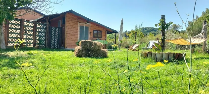 Barn - Image 1