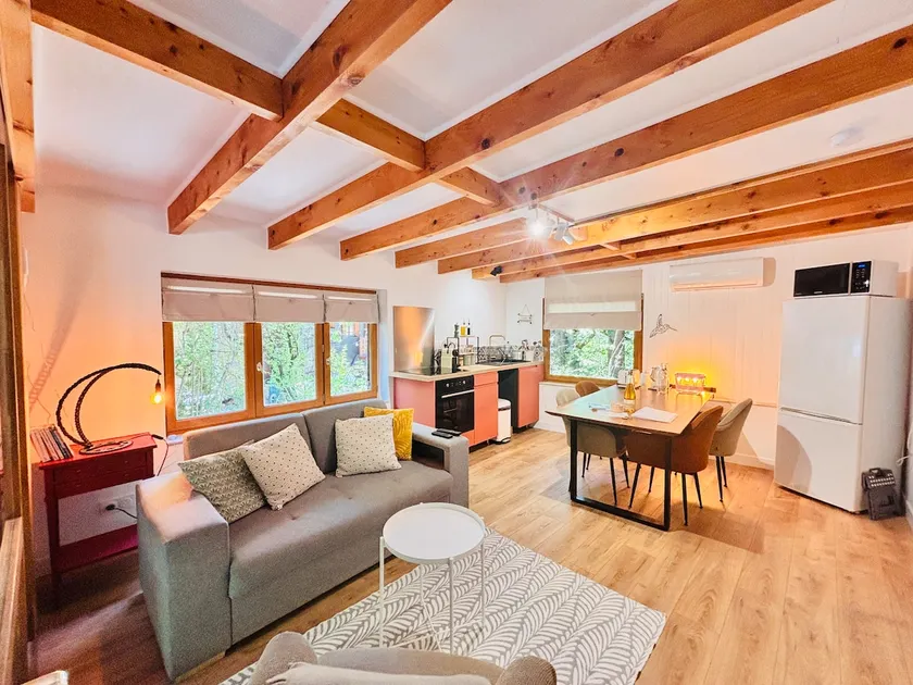 Les Robinsons du Lac : Flat with private beach - Image 1