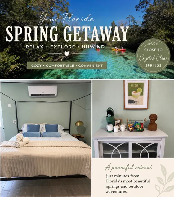 Cozy King Suite Near Florida’s Crystal Springs - Image 1