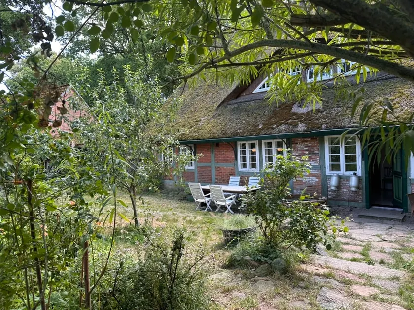 Living under a thatched roof - Image 1