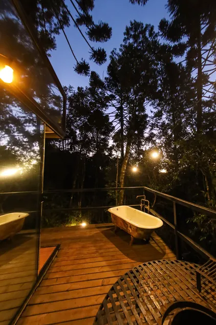 Glass cabin in the midst of the forest. - Image 1