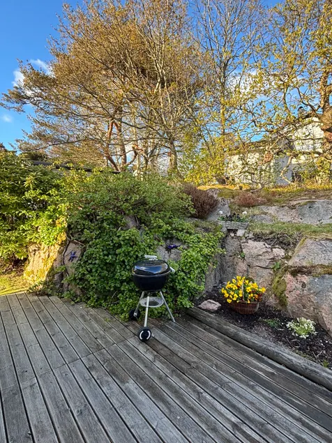 The purple paradise on Tjörn - Image 1