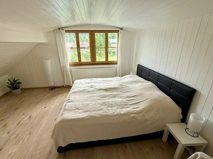 Cozy attic apartment in Toggenburg · Peace & nature - Image 1