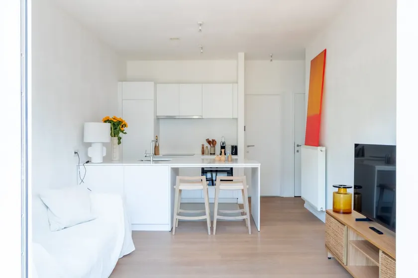Cozy apartment - Image 1