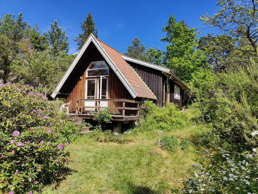 Eco-house in the woods near swimming in the sea. Quiet atmosphere. - Image 1
