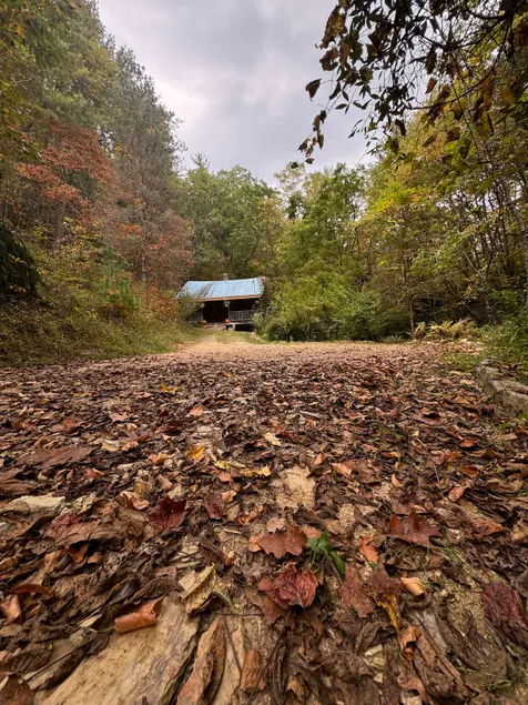 Remote Mountain Cabin in the Woods - Image 1