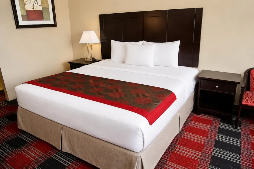 Comfy Albany 1BD Stay with Breakfast Next Downtown - Image 1