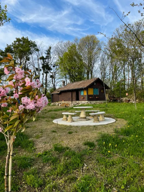 La Cabane à Papa - Back to basics - Image 1