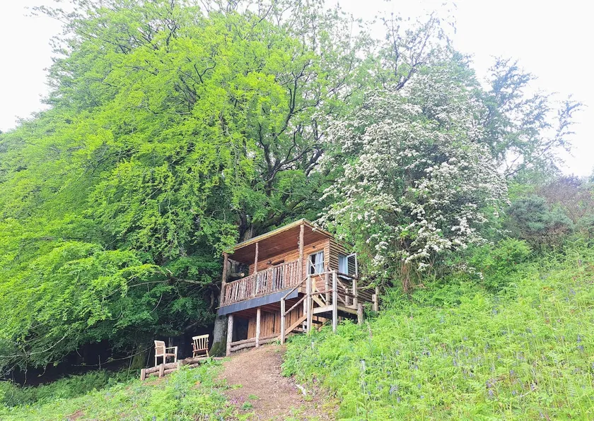 The Treehouse Cabin at Wildwood Croft, Arran - Image 1