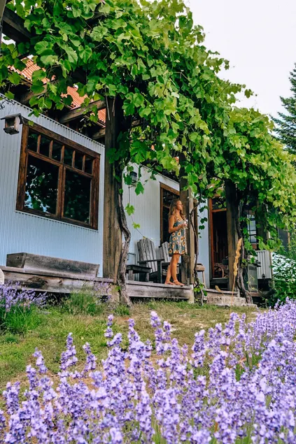 Lavender Cabin | Sauna | Sleeps 10 | Larch Hills - Image 1