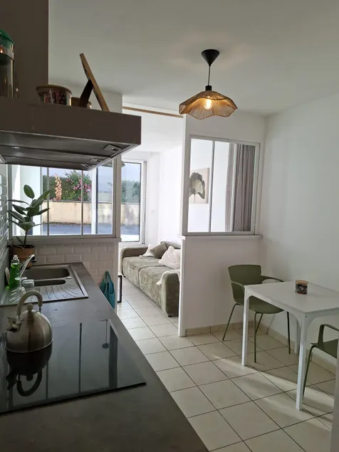 Renovated apartment, quiet, well connected, bike & road - Image 1