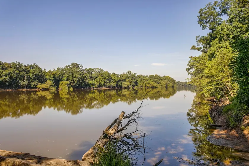 Waterfront Nature Escape on Altamaha River - Image 1