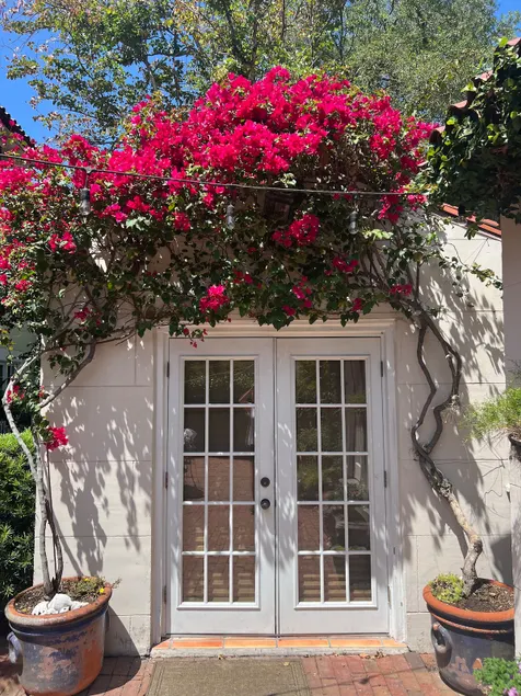 Charming private guest house. - Image 1