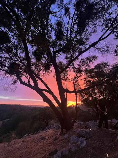 Yosemite Retreat~Sunsets~Views~Mountain Top Oasis - Image 1