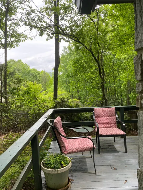 Cozy Peaceful Mountain Retreat Close to Parkway - Image 1