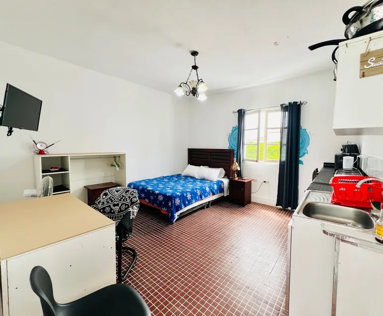 Room with private bathroom in Lindo Barranco - Image 1