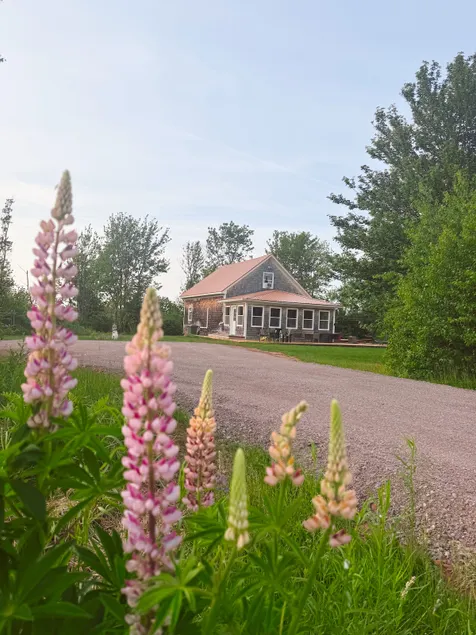 Golfers Hideout - PEI vacation home - Image 1