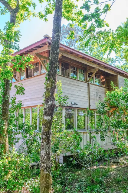 La cabane sous les pins - Image 1