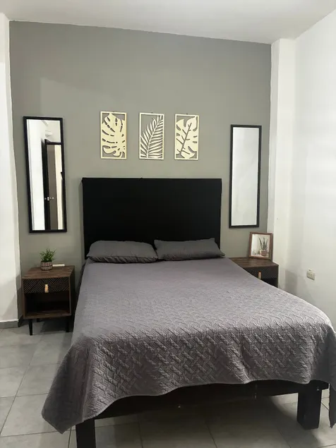 Spacious and Comfortable Renovated Apartment IMSS HGO Cine - Image 1