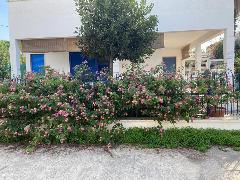 Villetta Fiorenza: direct access to the beach. - Image 1