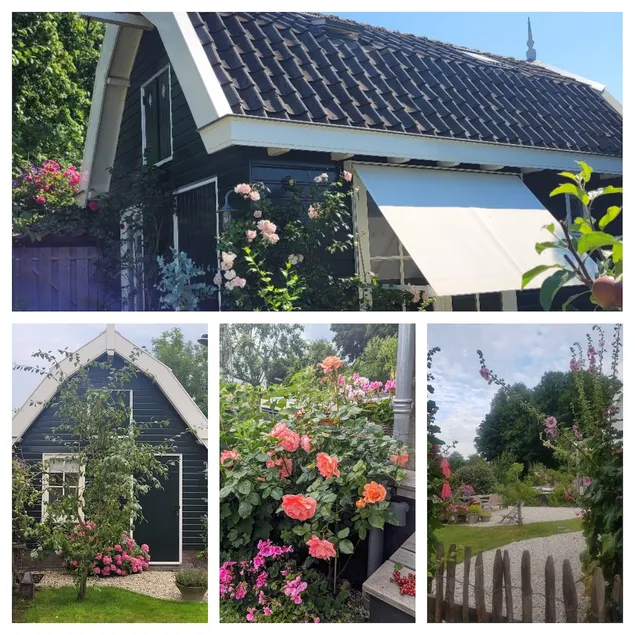 Tiny House in Abcoude, nearby Amsterdam. - Image 1