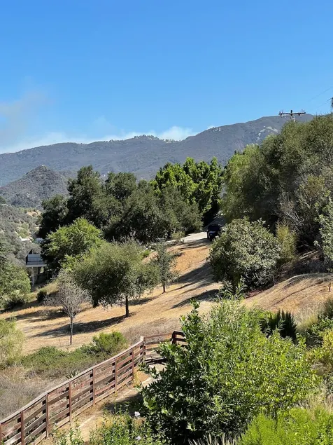 Birds&Bunnies everywhere! *Topanga Canyon* Dogs OK - Image 1