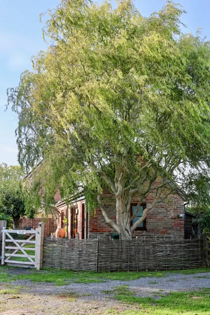 Tranquil and cosy cottage on the Somerset Levels - Image 1