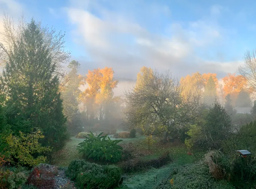 River Garden Cottage. - Image 1