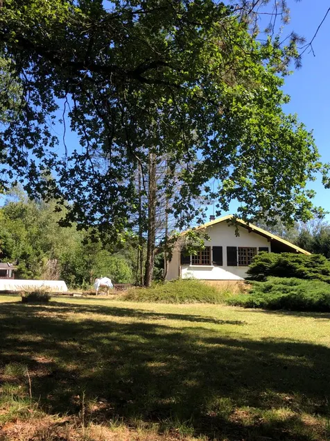 In little paradise - Image 1