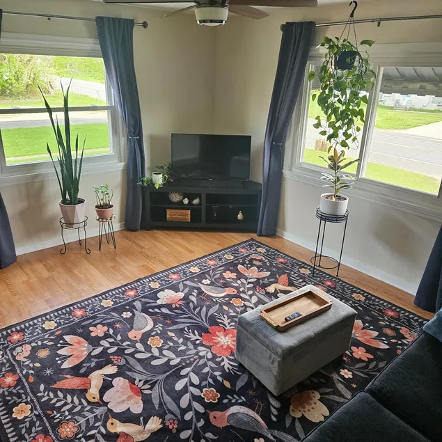 Cozy apartment minutes from lake - Image 1