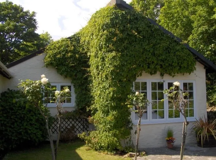 Apartment in lovely village - Image 1