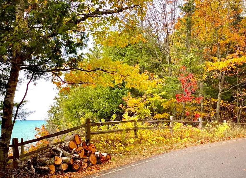 Autumn & Winter beach house - sleeps 12-14 - Image 1