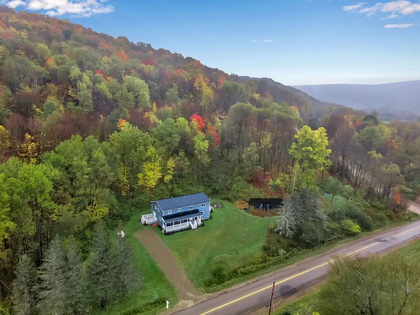 Ellicottville Chalet 3 Miles From Village w/pond - Image 1