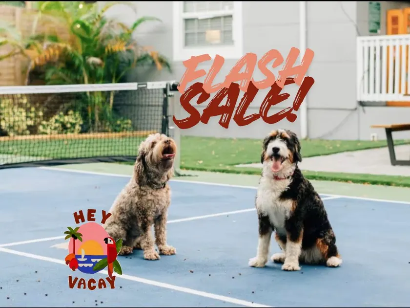 FLASH SALE! Sleep10|Private Pickleball Court+Pets! - Image 1