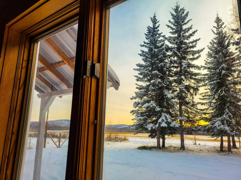 Stunning views- On-site SledDog Demo-Aurora! - Image 1