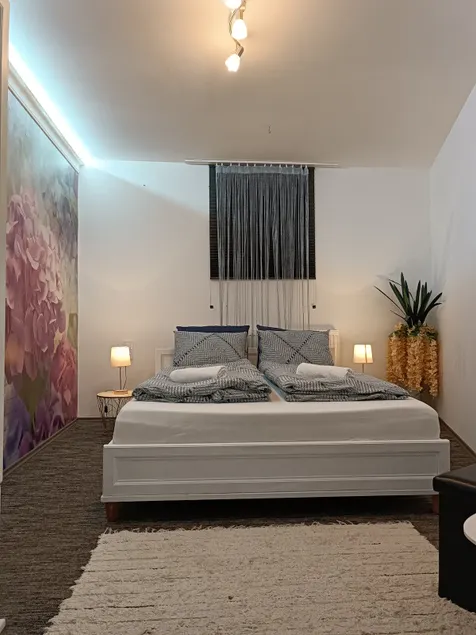 Tisza Kuckó Apartment - Image 1