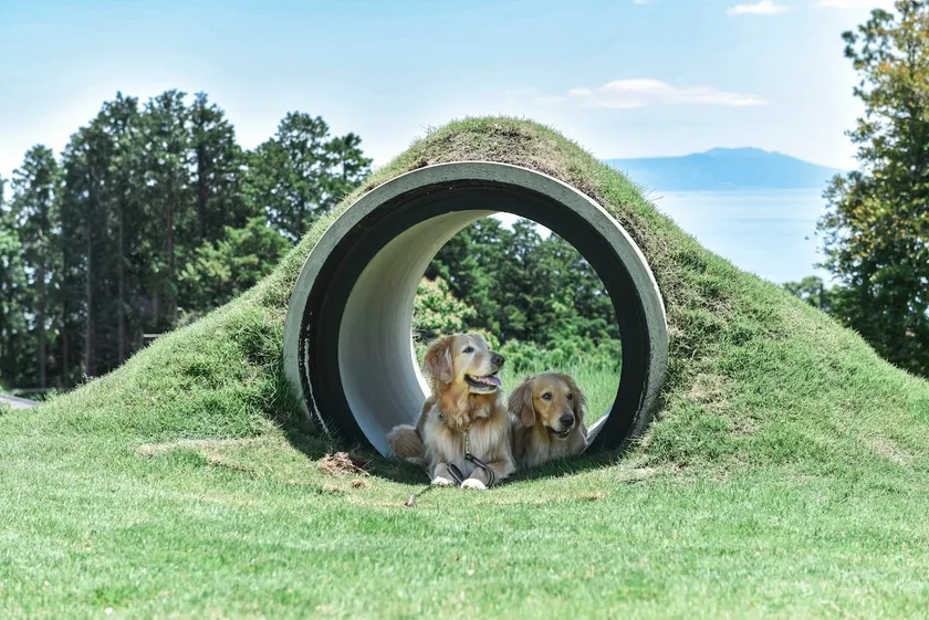 A private inn built for the best time with your dog. Have the best time at the hot springs and private dog run. - Image 1