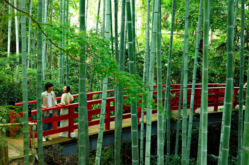 oukaivilla/5000㎡ Private Japanese Garden/30 minutes from Kansai Airport/Free Station Pick-up/Breakfast Included/ - Image 1