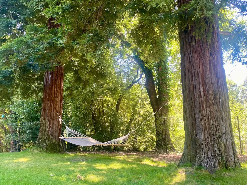 Sonoma Active Retreat Near Plaza Hot-tub Sports - Image 1