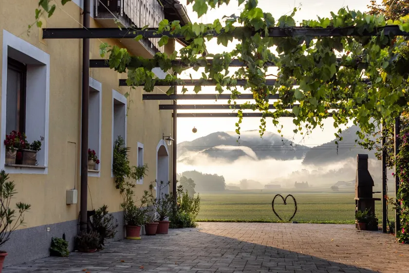 Wellness & Nature Escape- App Vina Gora (2+2) - Image 1