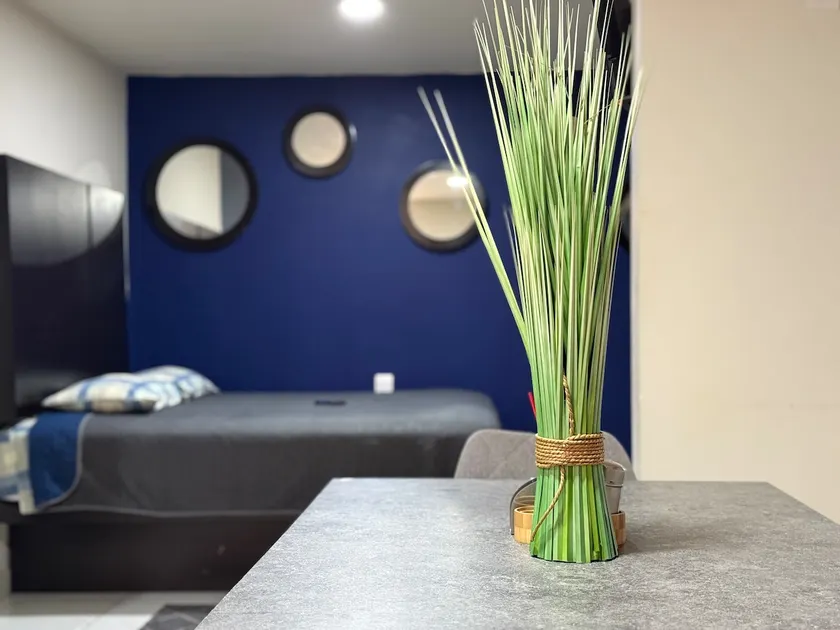Apartment near Zoo, Star Medica and Morelia Center - Image 1