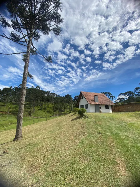 Cozy house Alto da Serra - Image 1