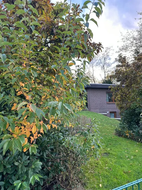 Maiglöckchen apartment with 2 bedrooms - Image 1