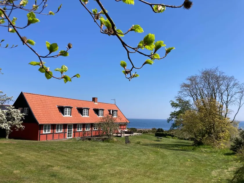 Wildernest Bornholm - Swan - Image 1
