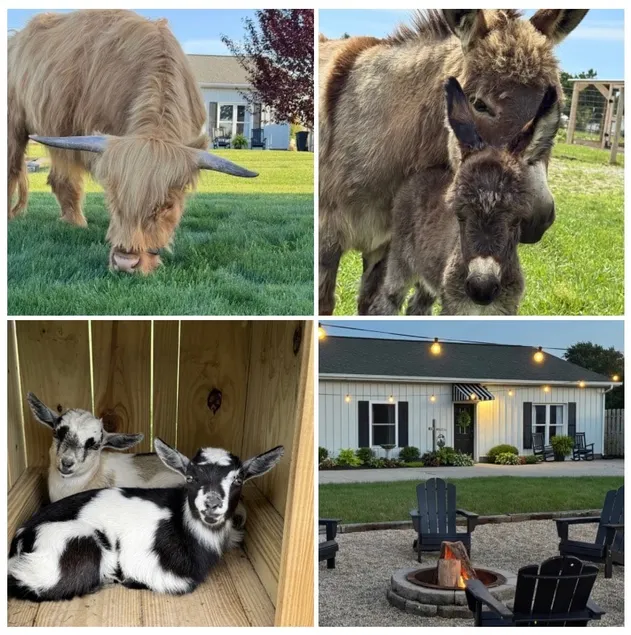 Farm stay in Amish Country - 4 Bedroom 2 Bath - Image 1
